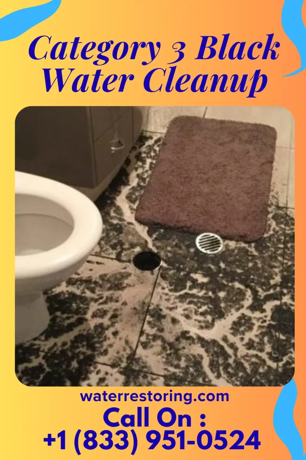 Category 3 Black Water Cleanup in Belmont, VA