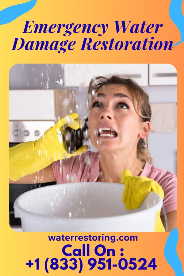 Emergency Water Damage Restoration in Belmont, VA