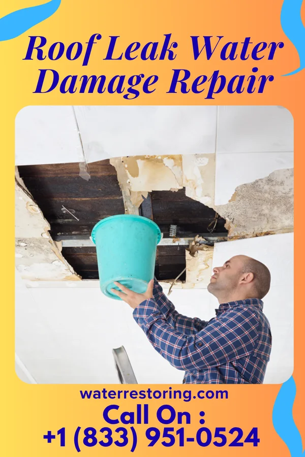 Roof Leak Water Damage Repair in Belmont, VA