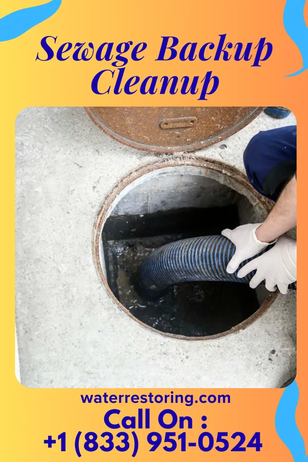 Sewage Backup Cleanup in Belmont, VA