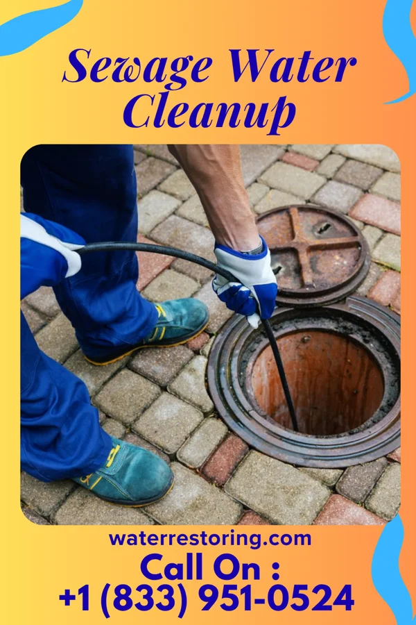Sewage Water Cleanup in Belmont, VA